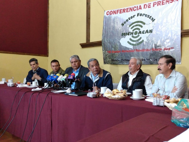 Alerta sector forestal por recortes en dependencias federales