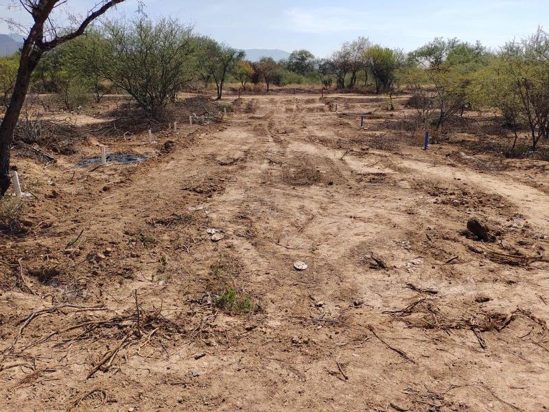Alerta sobre venta de lotes y parcelas en Reserva Natural