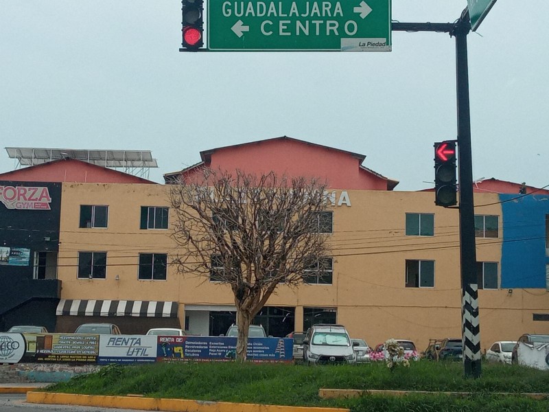 Alerta verde: plagas y mal manejo amenazan el pulmón de La Piedad