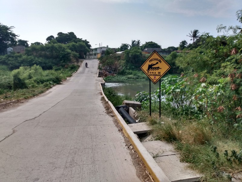 Alertan a ciudadanos por presencia de cocodrilos