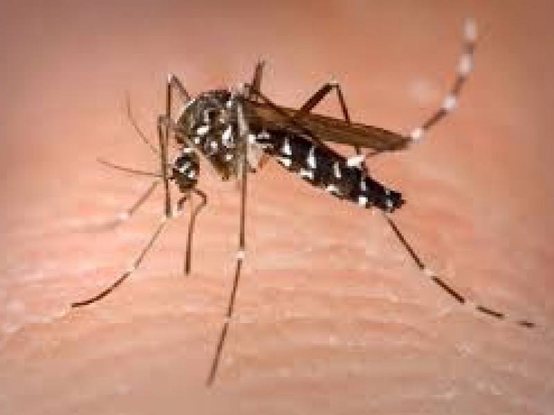 Alertan a la población para evitar casos de dengue en Jacona