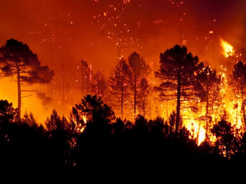 Alertan ante inicio de temporada de incendios forestales