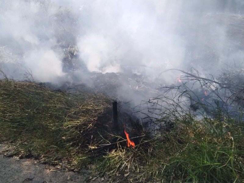 Alertan corporaciones por aumento de incendios de pastizales en Zamora