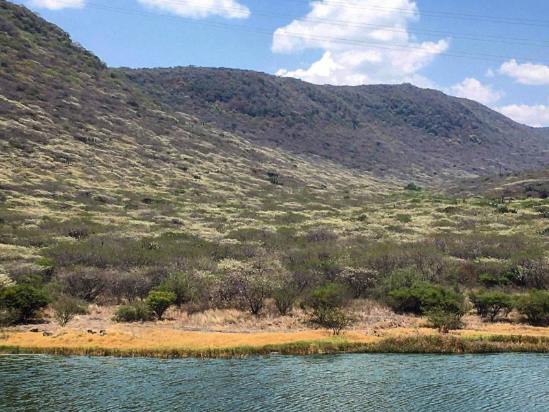 Alertan de posibles daños en la zona del Tángano