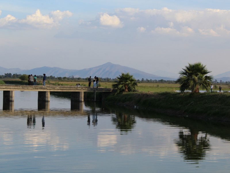 Alertan especialistas de UdeG disminución de pesca en Chapala