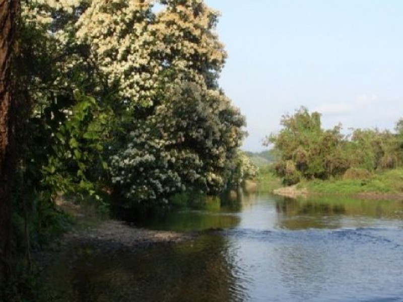 Alertan la presencia de lagarto en río de Pantla