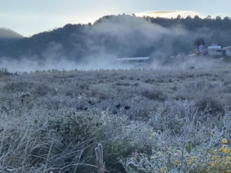 Alertan por bajas temperaturas y heladas en 138 municipios de Oaxaca Alertan por bajas temperaturas y heladas en 138 municipios de Oaxaca