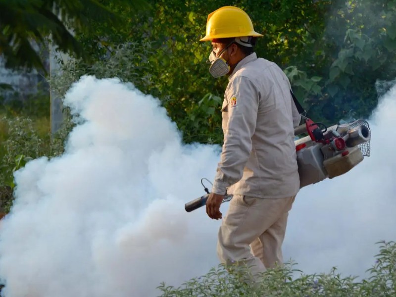 Alertan por dengue en Veracruz; 558 casos confirmados