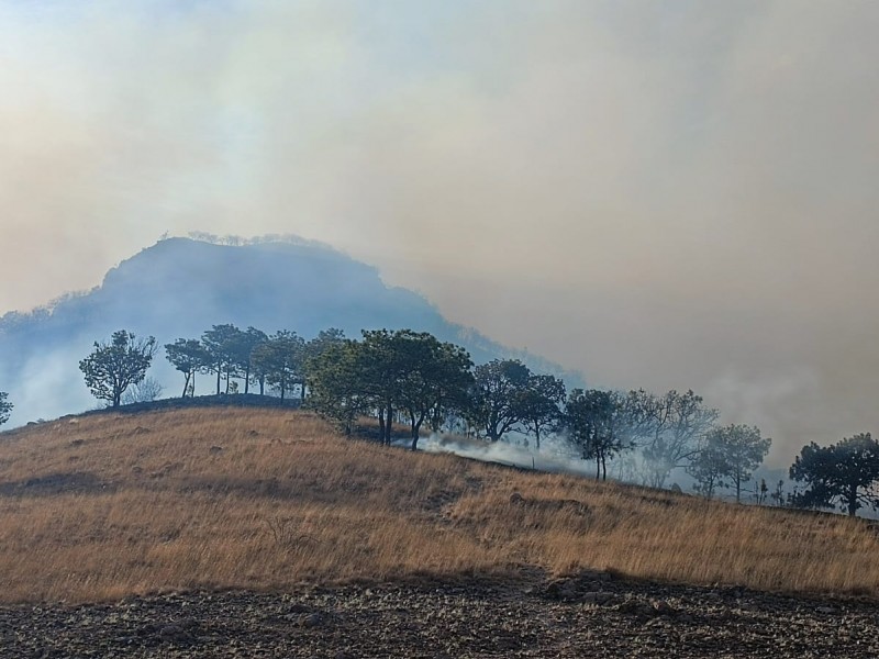 Alertan por incendios en zonas de recuperación de La Primavera