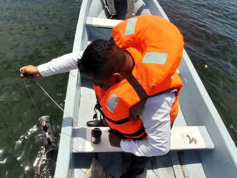 Alertan por posible mare roja en la bahía de Paredón en Tonalá