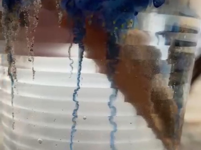 Alertan presencia de malagua en Costa Grande