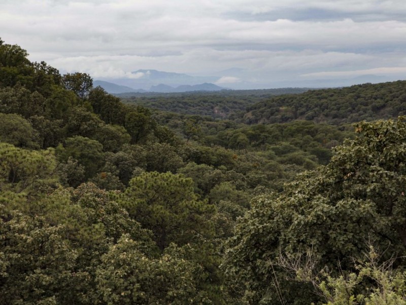 Alertan riesgos para La Primavera por ordenamiento ecológico en Tala