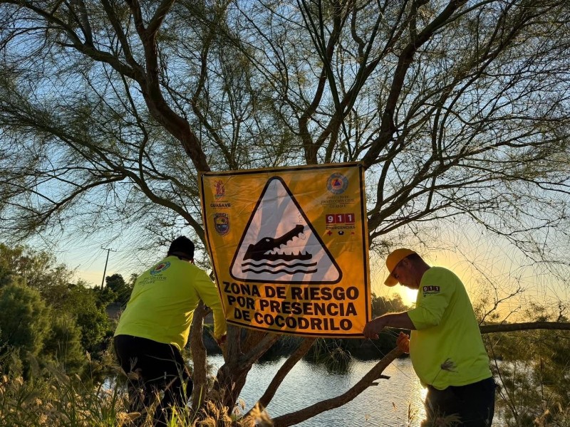 Protección Civil acude a colocar lonas en Carricitos tras avistamiento de cocodrilo Protección Civil acude a colocar lonas en Carricitos tras avistamiento de cocodrilo