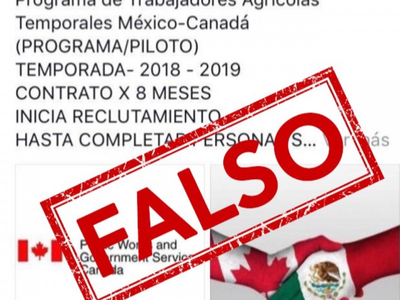 Alertan sobre visas falsas