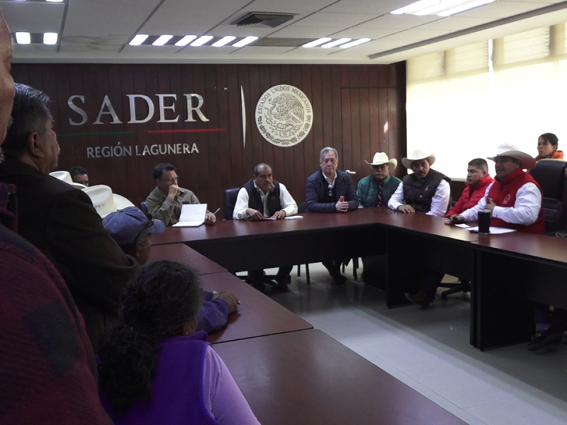 CNC lidera marcha de agricultores: crisis algodonera exige soluciones