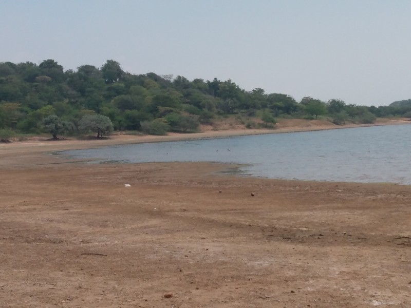 Habitantes inconformes por lugar seleccionado para panteón PlayaBrasil