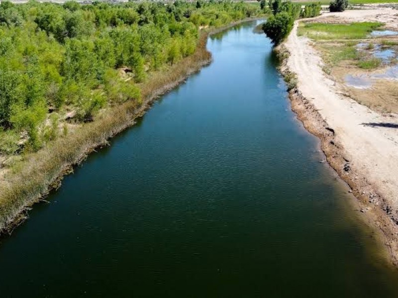 Alianza Revive el Río Colorado