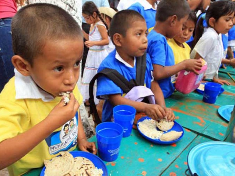 Alimentación, la base para un desarrollo integral de los niños