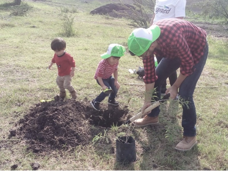 Alista El Marqués programa Adopta un Árbol