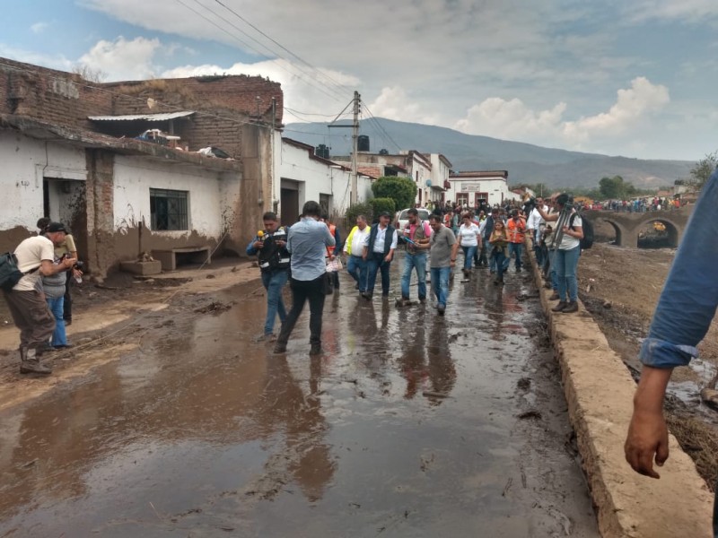 Alistan denuncias por tala desmedida en San Gabriel