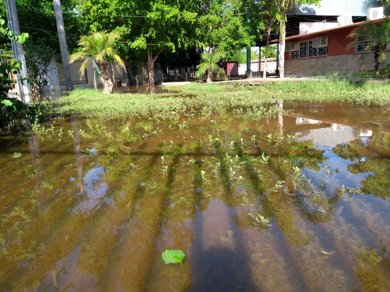 Alrededor de 160 escuelas en Sinaloa presentan daños