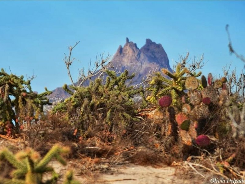 Altas expectativas para el turismo internacional en Sonora