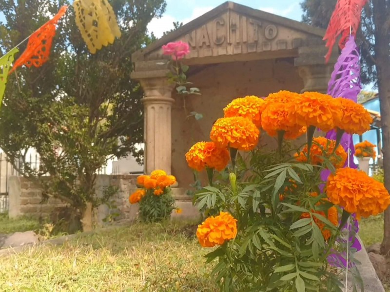 Altas expectativas para festival del día de muertos