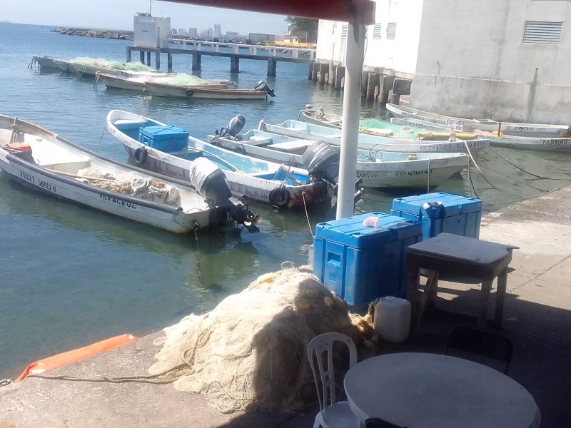 Altas temperaturas disminuyen la pesca en Veracruz