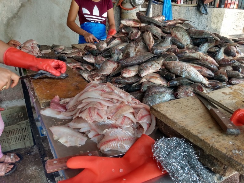 Altas temperaturas favorecieron la pesca en el Lago de Chapala