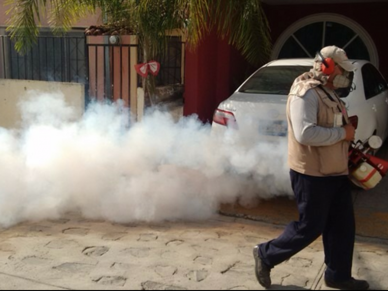 Altas temperaturas propician proliferación del dengue