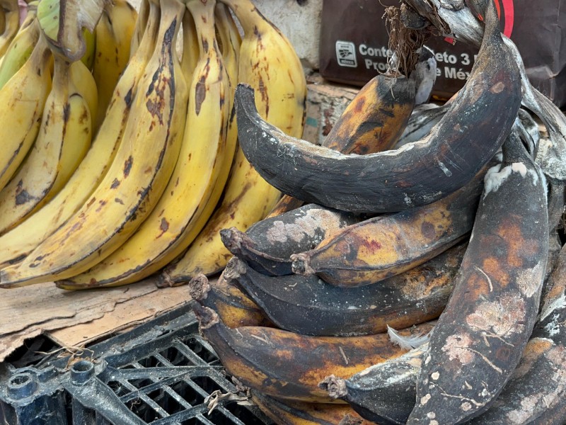 Altas temperaturas provocan pérdidas y merman ventas en mercado