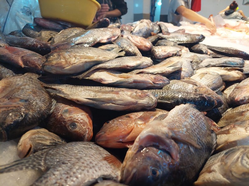 Alto el precio de pescado y camarones