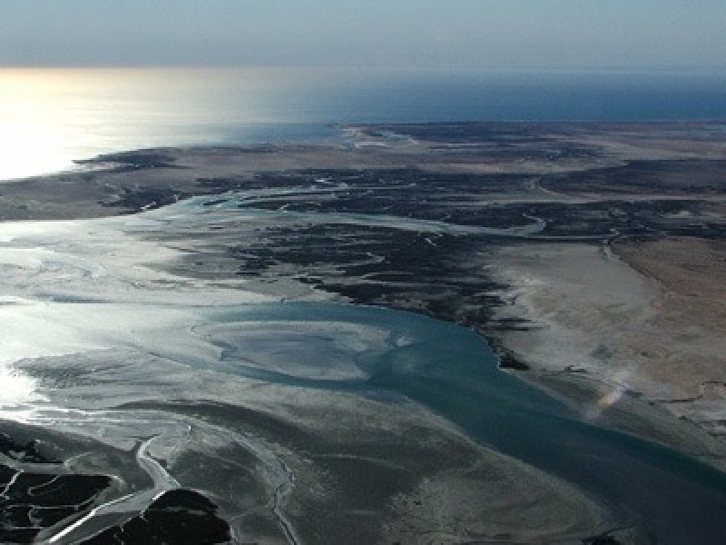 Alto Golfo de California descuidado por autoridades federales