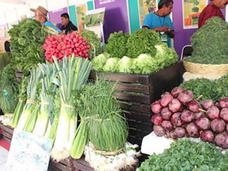 Alto precio en cárnicos familias recurren a dieta de vegetales