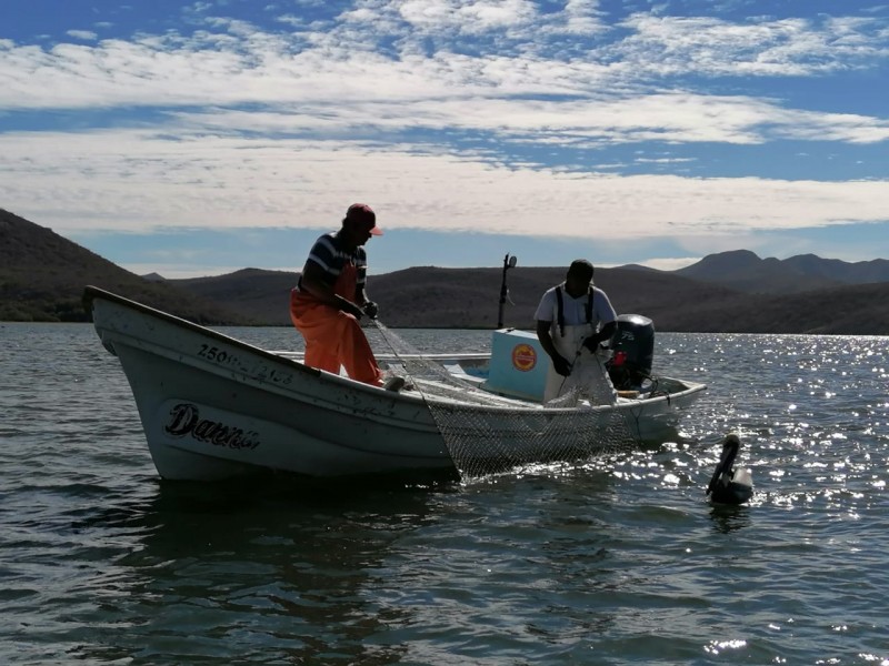 Altos costos de la gasolina afectan a pescadores de Sinaloa