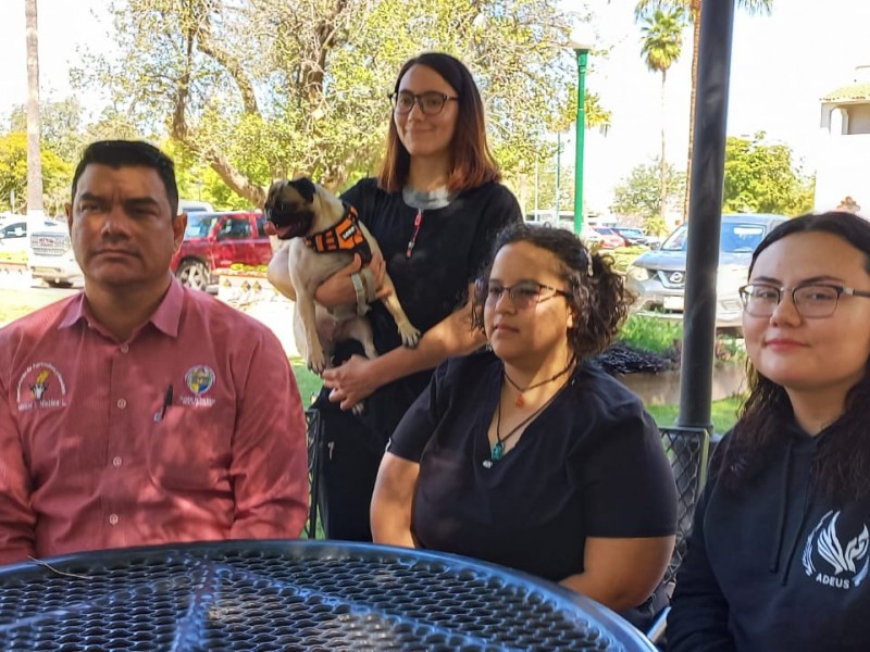 Alumnos de la Unison organizan jornada de salud animal