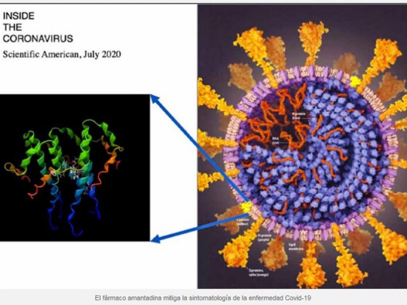Amantadina reduce efectos por virus SARS-CoV-2: Investigadores UV