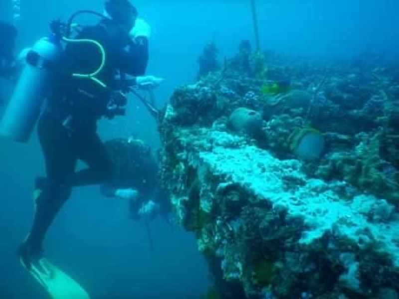 Ambientalista señala que hay severos daños a los arrecifes