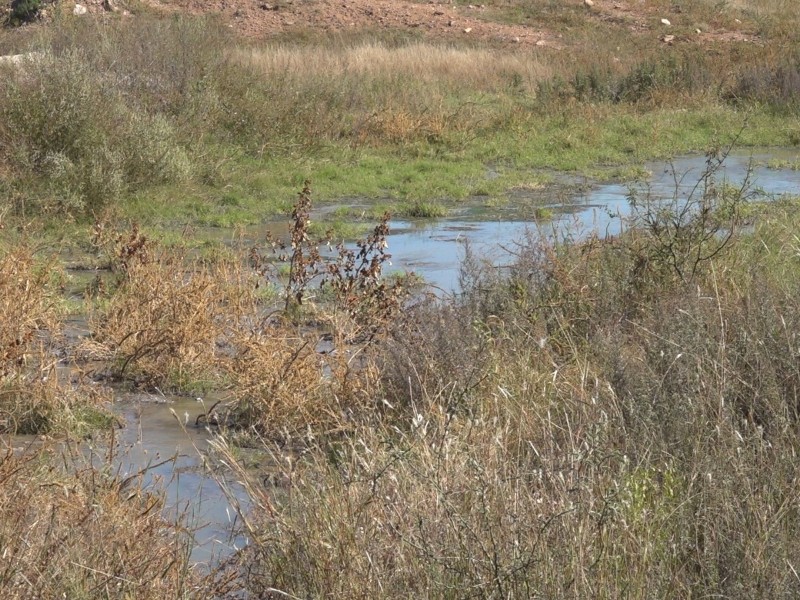 Ambientalistas advirtieron a autoridades de contaminación de rio Bambuto