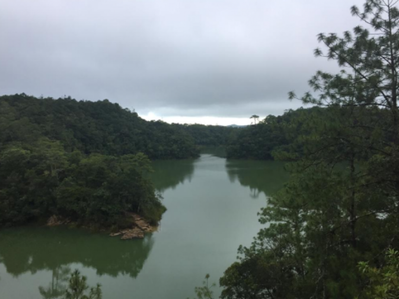 Ambientalistas buscan recursos para proteger Áreas Naturales de México