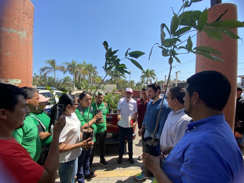 Ambientalistas exigen al estado una solución a contaminación de Petacalco