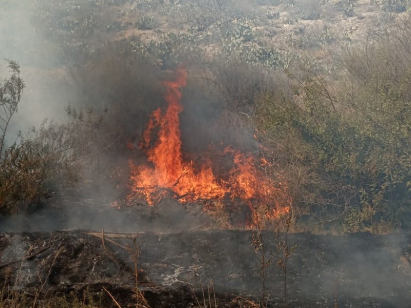 Ambientalistas exigen atención por incendios en Cañón de Fernández