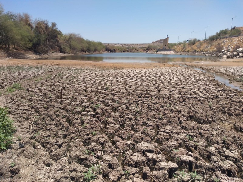 Ambientalistas realizarán El Galotón del Agua para rellenar humedal