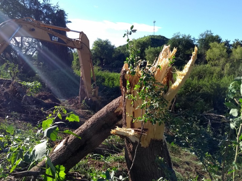 Ambientalistas reforestarán Río Fuerte