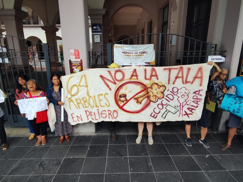 Ambientalistas vuelven a protestar para defender árboles de Lázaro Cárdenas