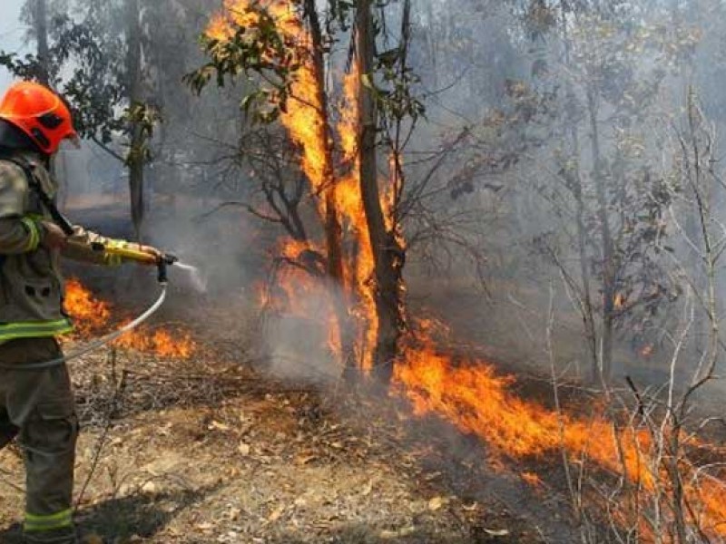 Ambiente seco y caluroso en próximos días, propicio para incendios