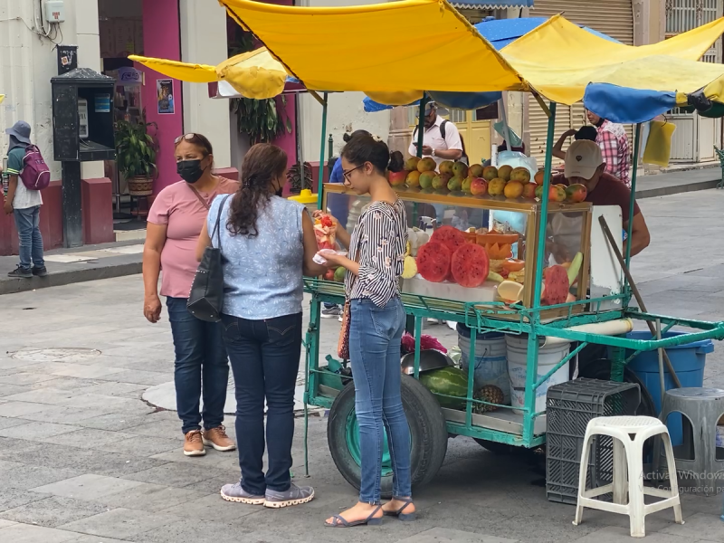 Ambulantaje; la observación al Pueblo Mágico de Jerez