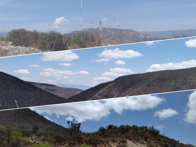 Amenaza de derribo de avionetas, muestra de hartazgo de campesinos.