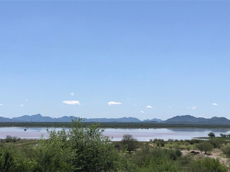 Aminora sequía extrema en Sonora tras registro de precipitaciones