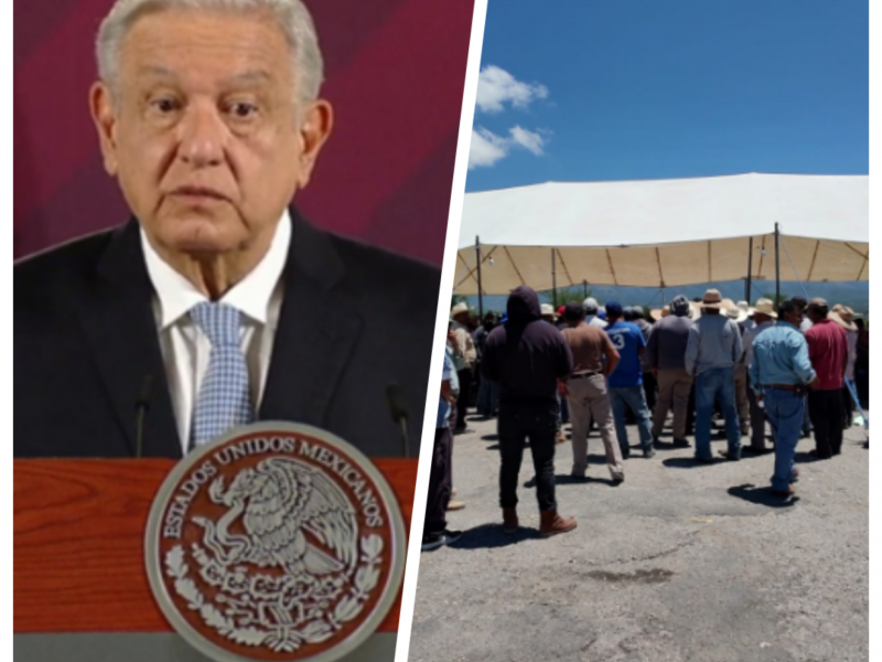 AMLO: Investigará federación 